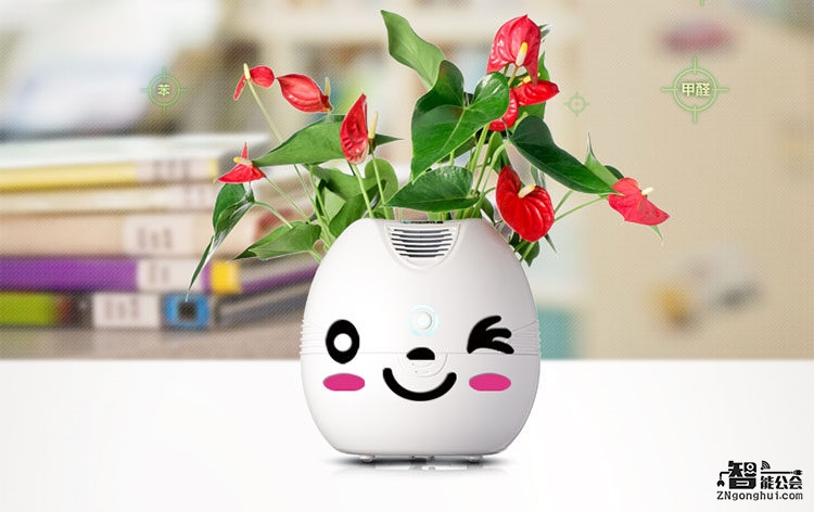 一款独属于你的桌面净化精灵！ 智能公会