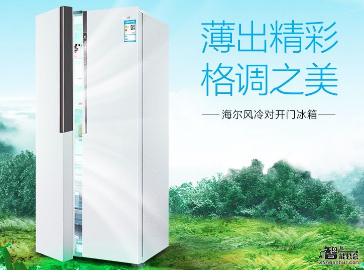 简约而不简单 对开门冰箱好看又实用 智能公会