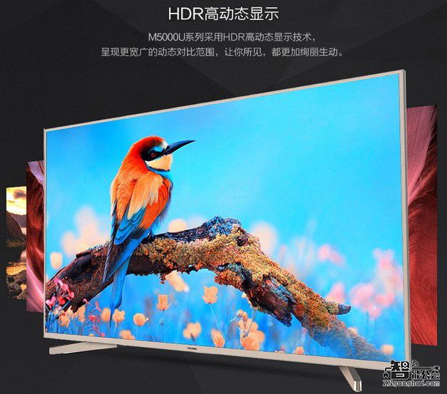 拯救节后综合症 你需要一款大屏电视一扫阴霾 智能公会