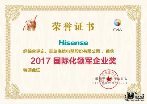 国内领跑海外提速 海信电视狂揽数字电视盛典5项大奖 智能公会