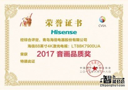 国内领跑海外提速 海信电视狂揽数字电视盛典5项大奖 智能公会