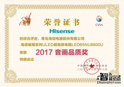 国内领跑海外提速 海信电视狂揽数字电视盛典5项大奖 智能公会