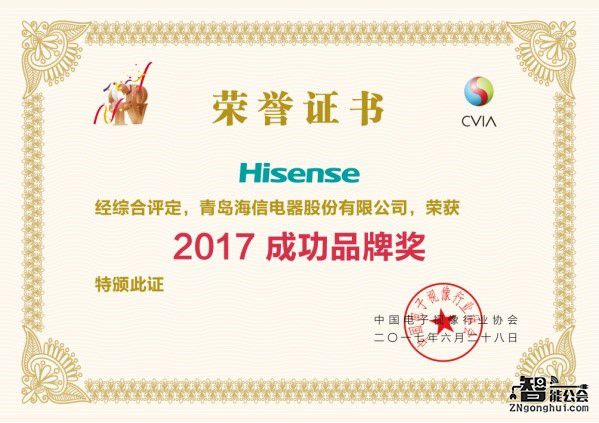 国内领跑海外提速 海信电视狂揽数字电视盛典5项大奖 智能公会