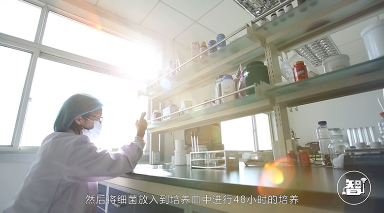 除螨效果哪家强？三款除螨仪全方位性能PK 智能公会