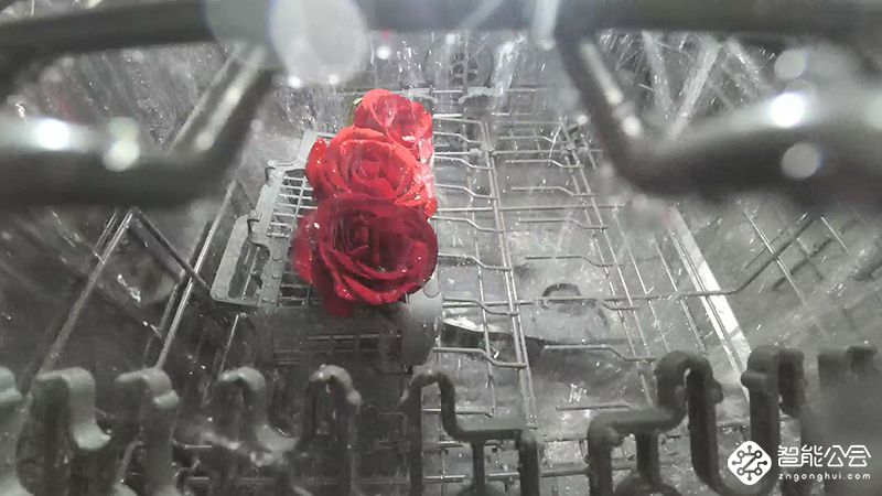 鲜花瞬时变干花！除了洗碗以外美的X3还有这绝活 智能公会