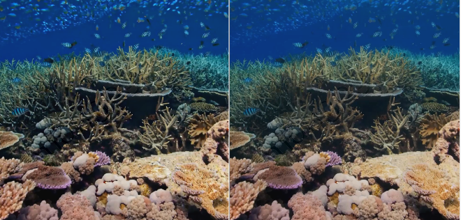 用手机享受杜比影院级效果？腾讯视频放视听体验大招 智能公会