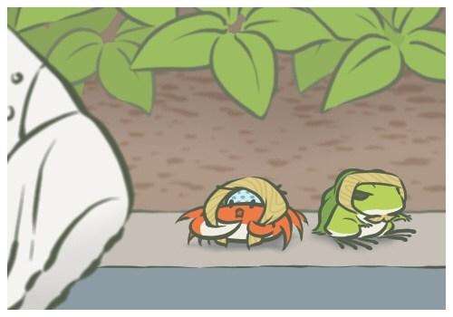 你的蛙儿子告诉你，生活孤单但你并不孤独 智能公会