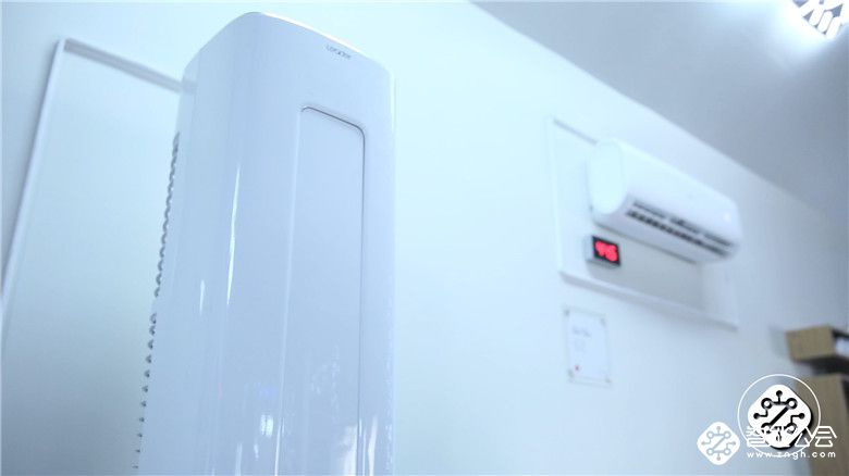 不可思议！是什么原因让“树叶”瞬间由绿变黄 智能公会