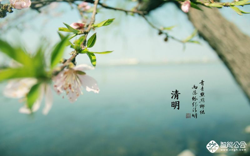 清明节，一个沉重与轻松并存的节日 智能公会