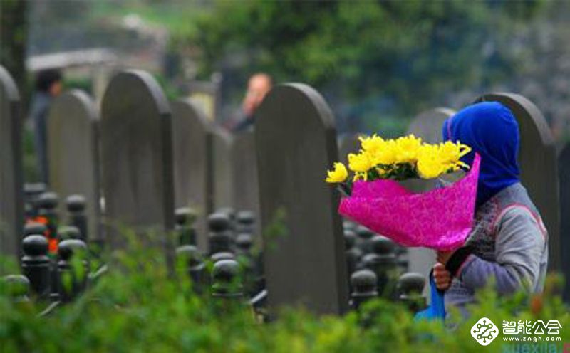 清明节，一个沉重与轻松并存的节日 智能公会