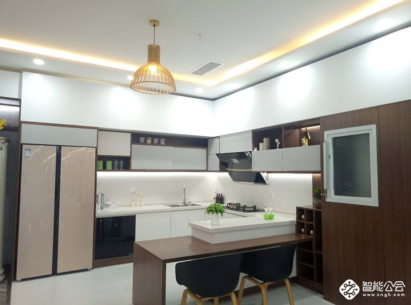 新时代新使命  TCL冰箱洗衣机20周年从心出发 智能公会