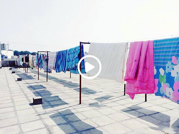 你已经那么痒了，还在允许它们造作 智能公会