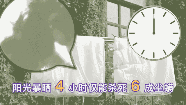 你已经那么痒了，还在允许它们造作 智能公会