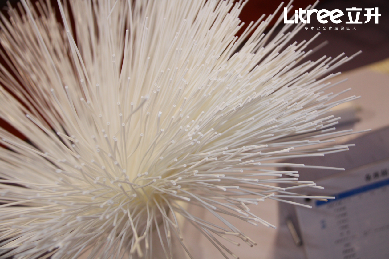 立升中央超滤净水器有什么用？ 智能公会