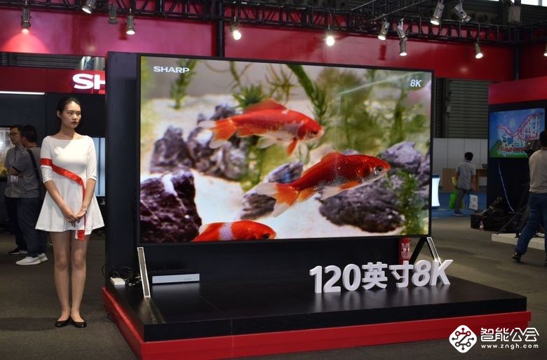 终点，亦是起点！UDE 2019国际显示博览会完美谢幕  智能公会