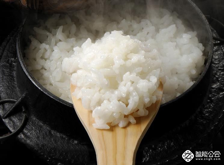 不用迈开腿更不用管住嘴，放开吃照样能减肥 智能公会