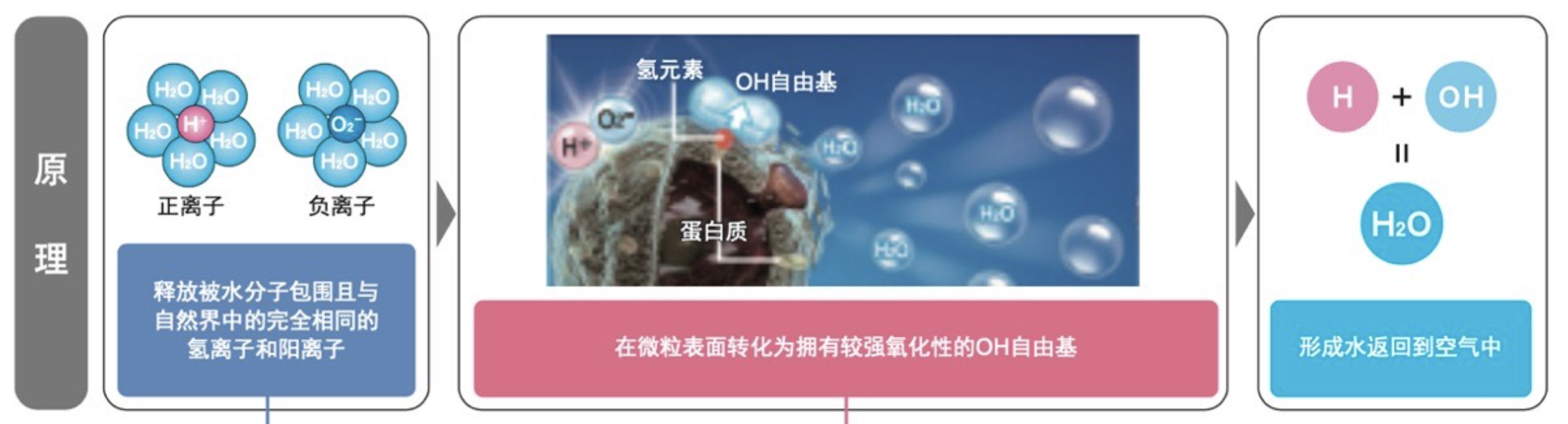 PCI净离子群技术 夏普独创核心科技引领高品质居家生活 智能公会