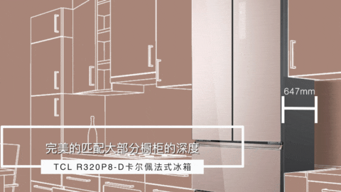 小房子要放大冰箱？安排！TCL 320L大容量冰箱评测 智能公会