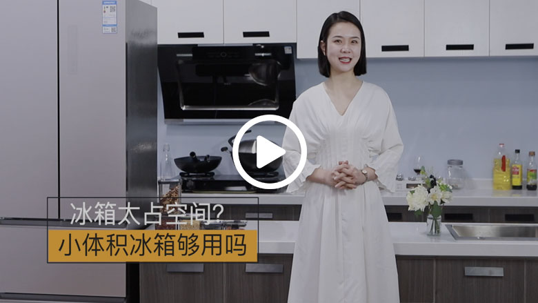 小房子要放大冰箱？安排！TCL 320L大容量冰箱评测 智能公会