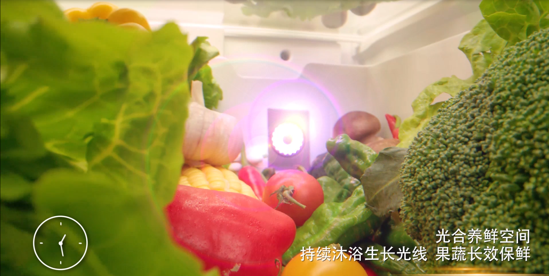 细节决定成败，创维冰箱全域净味打破常规 智能公会