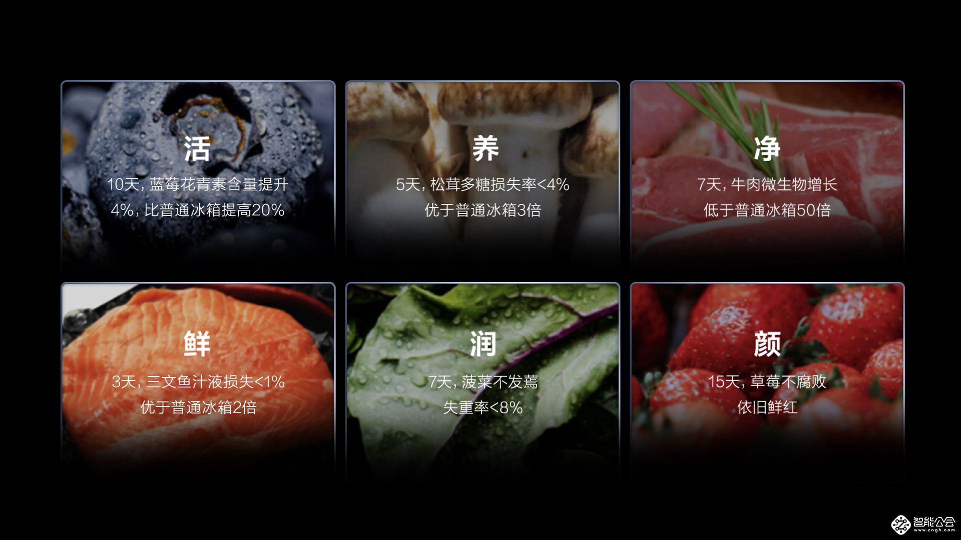 TCL发布格物冰箱Q10 六大核心科技保驾健康保鲜 智能公会