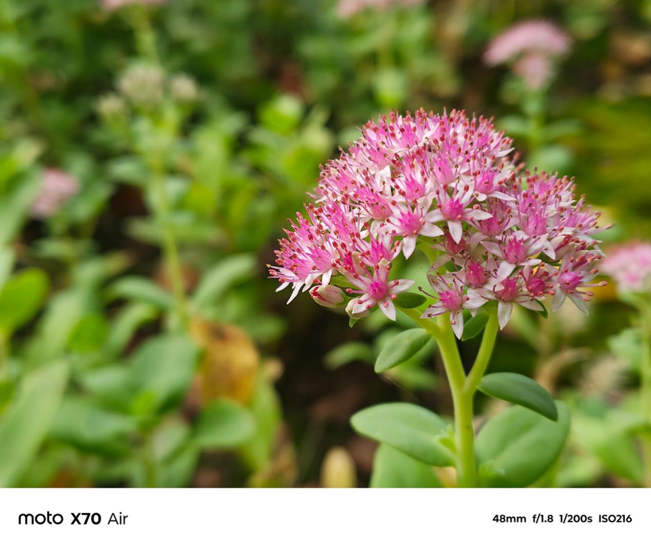 轻薄全能旗舰 体验无短板 联想moto X70 Air AI手机深度评测 智能公会