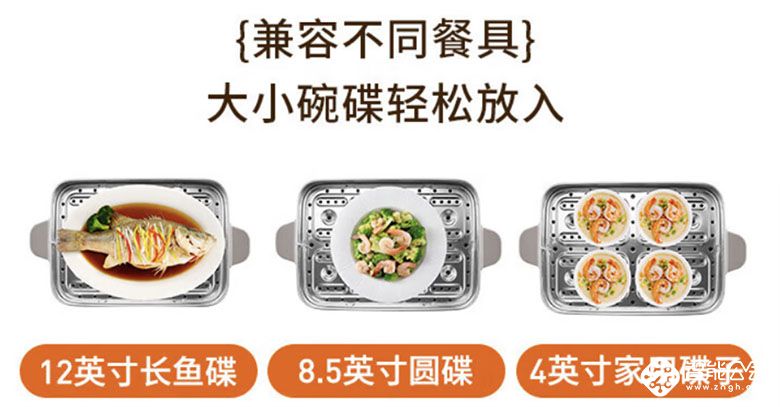 九阳GZ958多功能电蒸锅：厨房全能小助手，开启健康烹饪新体验 智能公会